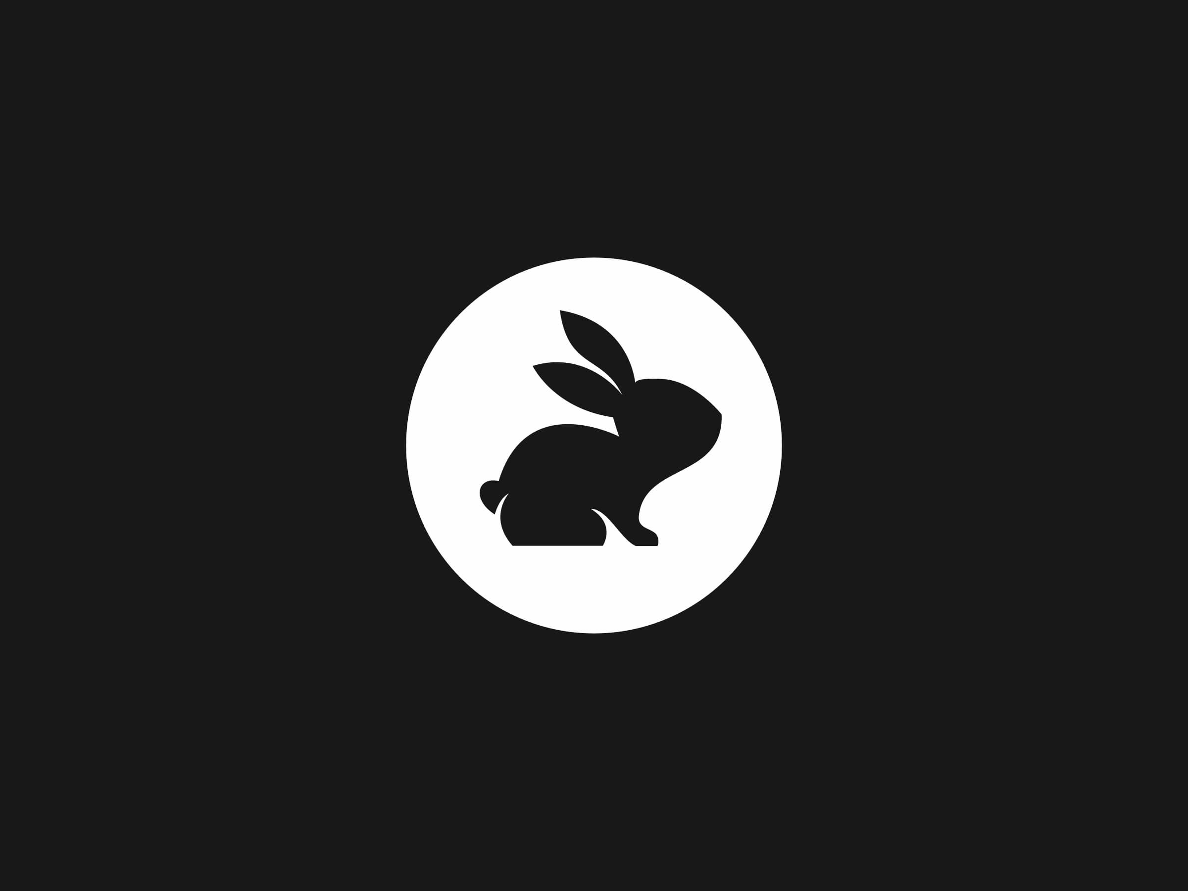 CODERABBIT brand identity by Happy Pizza Studio
